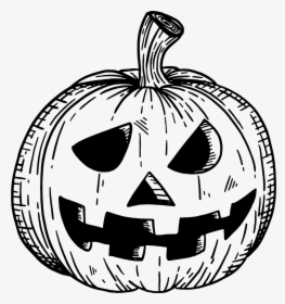 Cute Halloween Jack O Lantern Coloring - Large Halloween Word Searches Printable, HD Png Download, Free Download