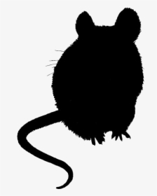 Rat Png Full Hd - Rat, Transparent Png, Free Download