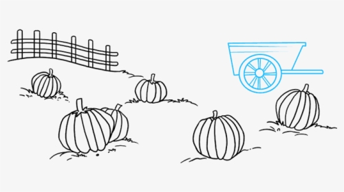 How To Draw Pumpkin Patch - Draw A Pumpkin Patch, HD Png Download, Free Download