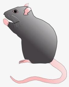 Ratx Image Png - Cute Rat Clip Art, Transparent Png, Free Download