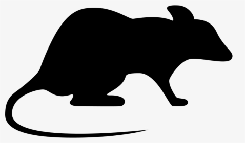 Rat Looking Right - Icon Rat Png, Transparent Png, Free Download
