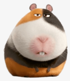 Rat - Pets Movie Guinea Pig, HD Png Download, Free Download