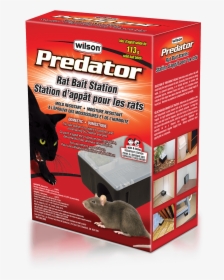 Transparent Mouse Animal Png - Rat Bait In Station, Png Download, Free Download