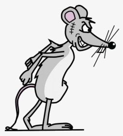Angry-rat By Rodent Solutions - Angry Rat Clipart, HD Png Download, Free Download