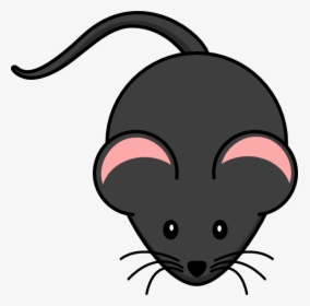 Cute Rat Clipart Clipart Pand - Cartoon Mouse Png, Transparent Png, Free Download