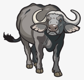 Buffalo Transparent Decal - Dibujos De Animales Vertebrados, HD Png Download, Free Download