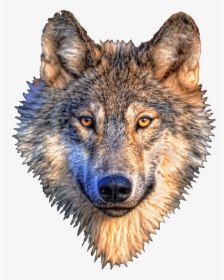 Wolf Head Clip Arts - Wolf Head Transparent Background, HD Png Download, Free Download
