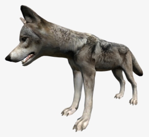 Wolf - Dayz Wolf, HD Png Download, Free Download