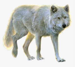 Wolf Icon Png - Transparent Background White Wolf Png, Png Download, Free Download