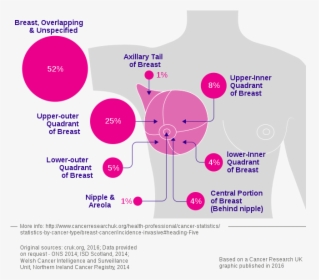 Breast Cancer Incidence By Anatomical Site - Site Of Breast Cancer, HD Png Download, Free Download
