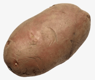 Yam - Transparent Potato Clear Background, HD Png Download, Free Download