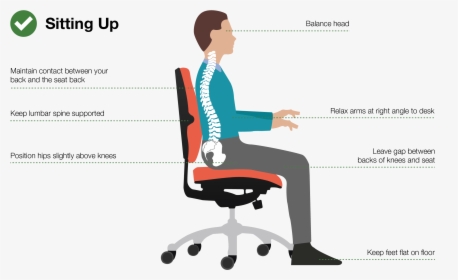 Good-posture - Good Sitting Posture, HD Png Download, Free Download