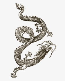 Transparent Oriental Dragon Clipart - Sleeping Dogs Dragon Tattoo, HD Png Download, Free Download