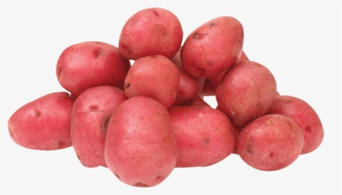 Potatoes Clipart Red Potato - Potato Png, Transparent Png, Free Download