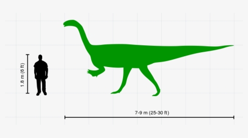 30 Ft Size Comparison, HD Png Download, Free Download
