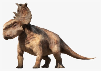 Dinosaur Png - Dinosaur Pachyrhinosaurus, Transparent Png, Free Download