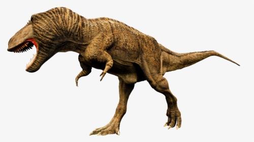 Tyrannosaurus Rex Png Picture - T Rex Image Png, Transparent Png, Free Download