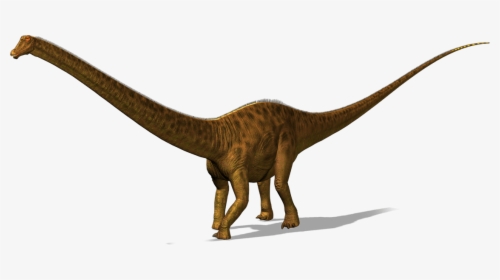 Dinossauro Diplodoco Png, Transparent Png, Free Download