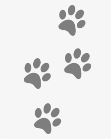 Footprints, Animal, Dog, Paw, Cat, Silhouette, Pattern - Blue And Gold Paw Print, HD Png Download, Free Download
