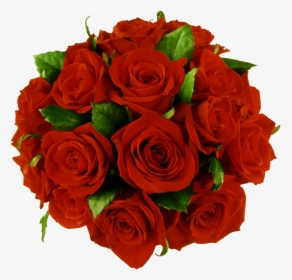 Flores Baixar Grátis Transparente - Rose Flower Bokeh Png, Png Download, Free Download