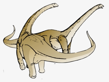 Dinosaur Alamosaurus Clip Art - Dinosaurios Diplodocus Para Colorear, HD Png Download, Free Download