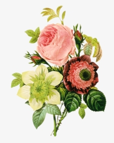 Lindas Flores Em Png Para Fotomontagens - Vintage Illustration Flowers, Transparent Png, Free Download