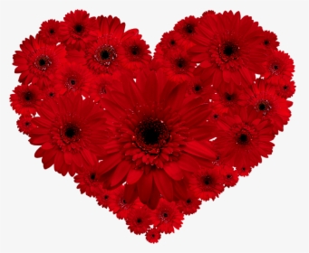 Flores Vermelhas Flores Formando Um Cora誽o Fotogr - Corazon Feliz Dia Mama, HD Png Download, Free Download