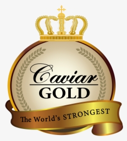 Caviar Gold Apparel - Caviar Gold Cannabis Logo, HD Png Download, Free Download