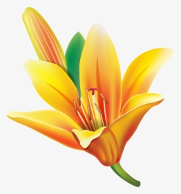Yellow Lily Flower Png Clipart - Yellow Bell Flower Clipart, Transparent Png, Free Download