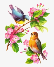 Beautiful Birds In Spring, HD Png Download, Free Download