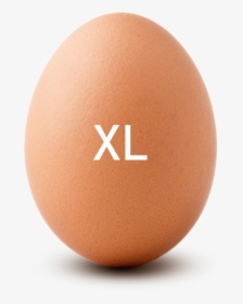 Egg Sizes Extra Large - Megas Xlr Coop, HD Png Download, Free Download