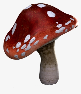 Fly Agaric, Mushrooms, Fantasy, Digital Art, Isolated - Russula Integra, HD Png Download, Free Download