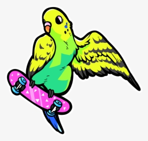 Budgie , Png Download, Transparent Png, Free Download