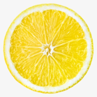 Lemon Drawing Clip Art - Draw A Lemon Slice, HD Png Download, Free Download