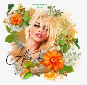 Garden Roses, HD Png Download, Free Download