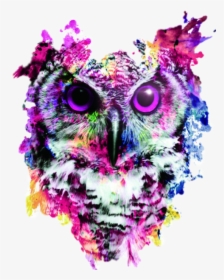 Owl Canvas, HD Png Download, Free Download