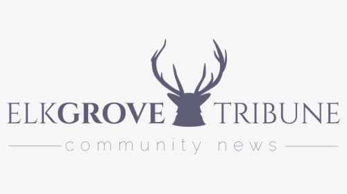 Elk Grove Tribune - Antler, HD Png Download, Free Download