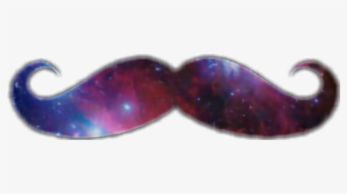 #bigode #galaxia - Insect, HD Png Download, Free Download