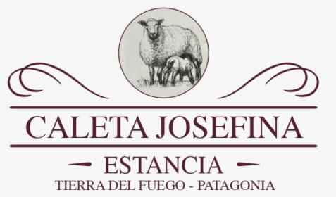 Estancia Caleta Josefina - Camel, HD Png Download, Free Download