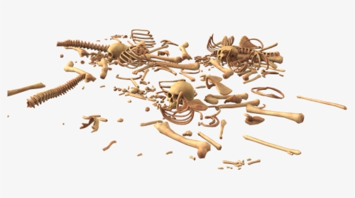 Pile Of Bones Png, Transparent Png, Free Download