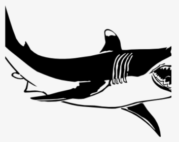 Transparent Smiling Shark Clipart - Black And White Shark Clipart, HD Png Download, Free Download