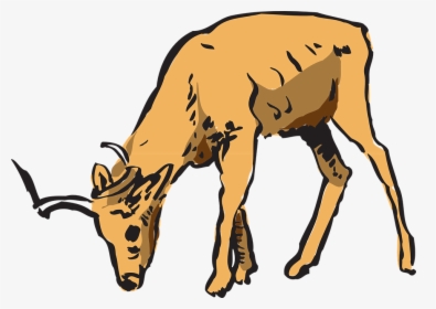 Deer Eating Grass Clipart, HD Png Download, Free Download
