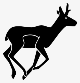 Antelope Icon, HD Png Download, Free Download