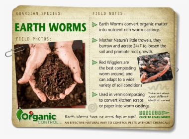 Https - //organiccontrol - Com/earthworms/ - Duck Meat, HD Png Download, Free Download