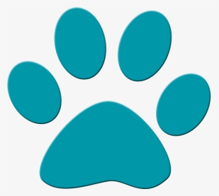 Cat, HD Png Download, Free Download