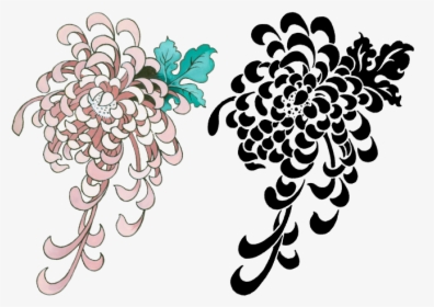 Chrysanthemum Flash In Both Black Graphic And More - Illustration, HD Png Download, Free Download