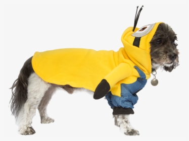 Minions Dog Coat, HD Png Download, Free Download