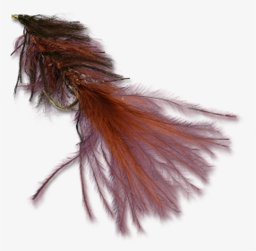 Zack"s Stillwater Swimming Leech - Earrings, HD Png Download, Free Download