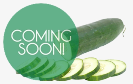 Cucumbers - Coming Soon, HD Png Download, Free Download
