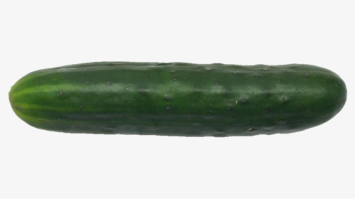 Cucumber Png - Cucumber, Transparent Png, Free Download